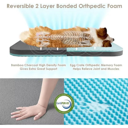 Foldable Human-Size Dog Bed – Orthopedic Memory Foam