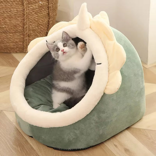 Cozy Cat Lounge