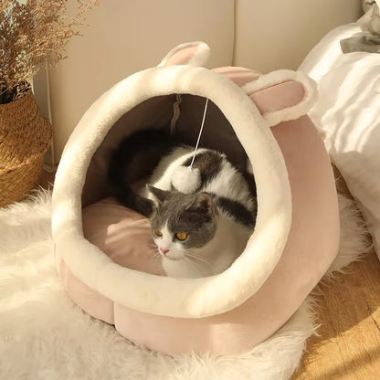 Cozy Cat Lounge