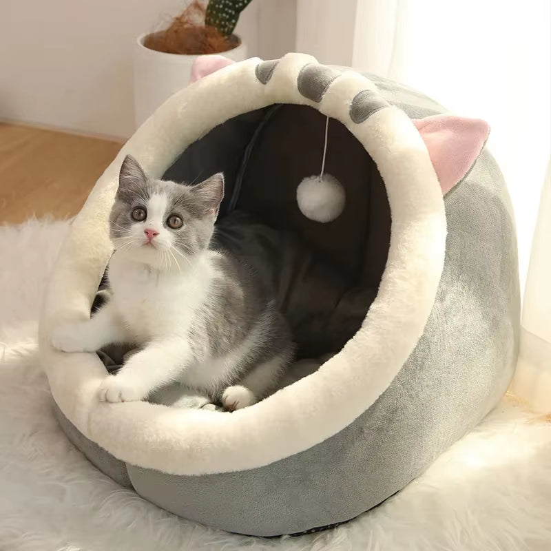 Cozy Cat Lounge