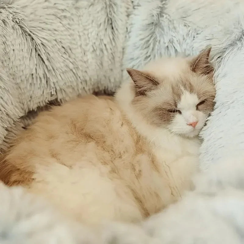 Plush Cat Tunnel Donut