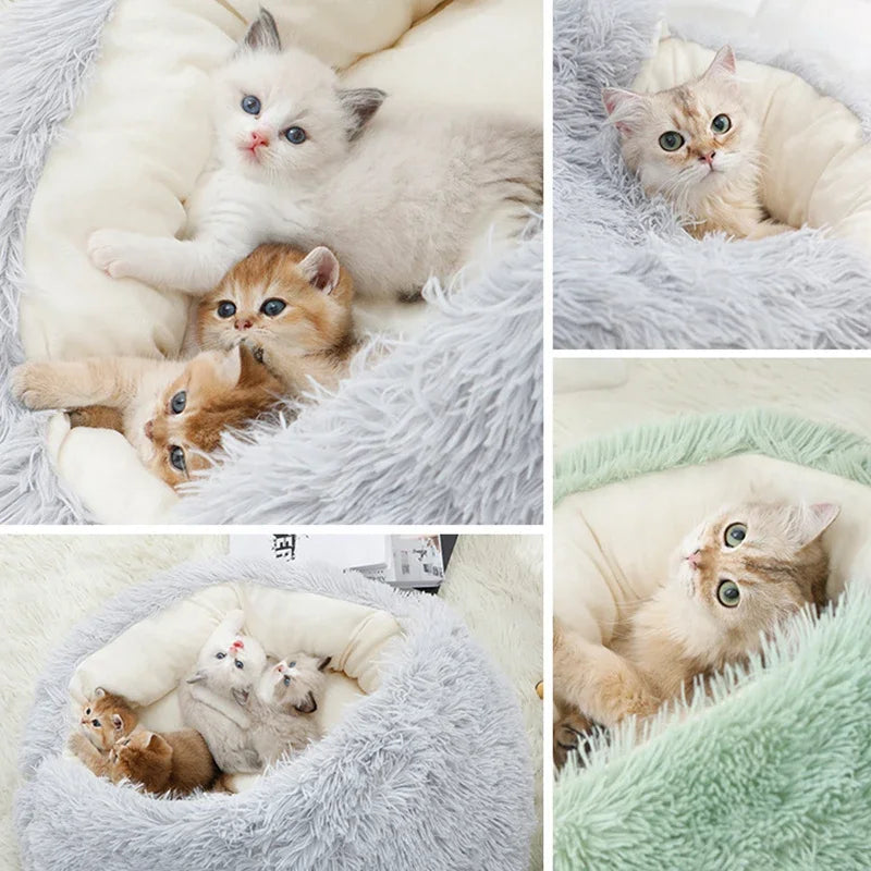 Winter Plush Bed