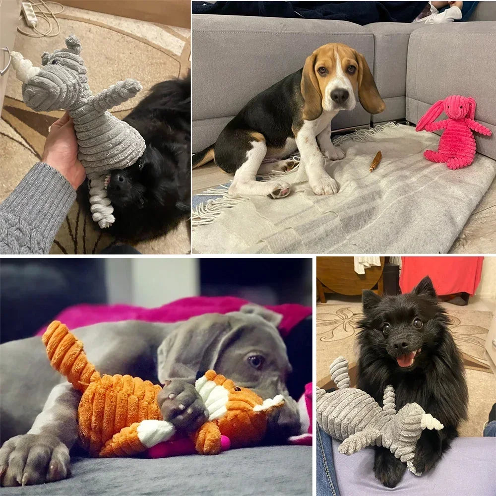 Plush Chew Toys