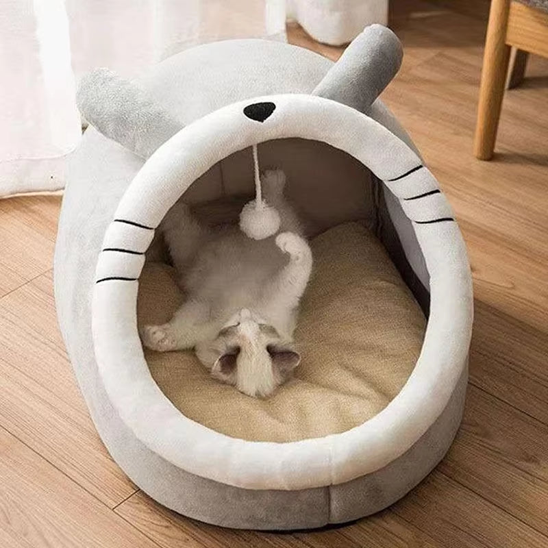 Cozy Cat Lounge